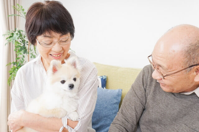 白い犬を抱っこする母親とそれを見つめる父親
