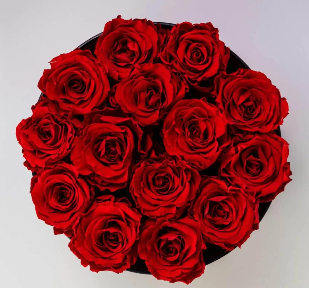 14本の真っ赤なバラの花束